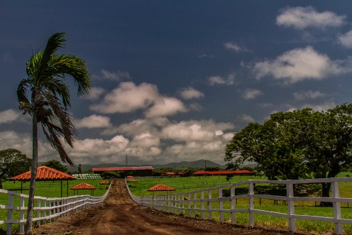 HifghwayToCostraRica_0318