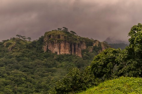 san-ramon-turnoff_0649